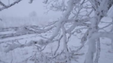 Donmuş tesisleri, güneşli bir gün, kırsal alan yakın çekim.
