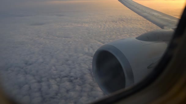 Widok na skrzydło samolotu przez okno samolotu. Latanie w chmurach, o wschodzie słońca. — Wideo stockowe
