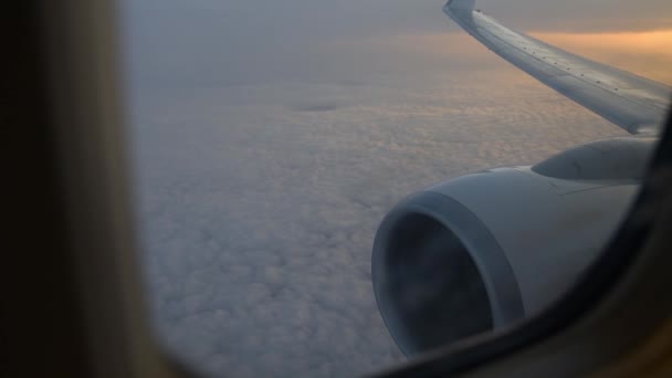 Vy över flygplansvinge genom plan fönstret. Flygande ovan molnen vid soluppgången. — Stockvideo