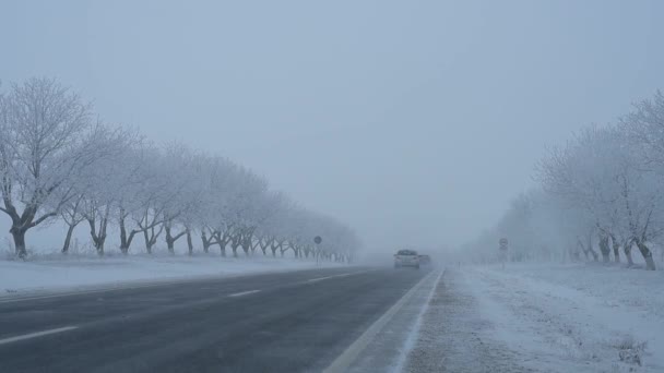 Auto's rijden op winter landweg in besneeuwde dag. — Stockvideo