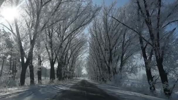 Bei Schneetreiben auf winterlicher Landstraße unterwegs. — Stockvideo