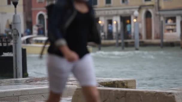 Mewa srebrzysta w pobliżu jeziora Venice w deszczowy dzień. — Wideo stockowe