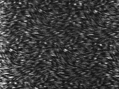 Siyah ve beyaz soyut dokulu duvar arka plan