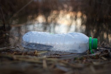Ecological problem. Empty used dirty plastic bottle on shore of lake.