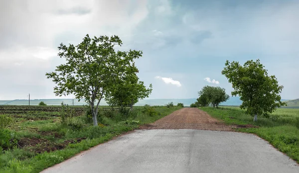 Paisaje Natural Sencillo Lugar Moldavo Fin Del Camino Asfalto Inicio — Foto de Stock