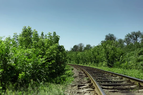 Fundo Paisagem Natural Ferrovia Através Floresta Verde Dia Ensolarado Conceito — Fotografia de Stock