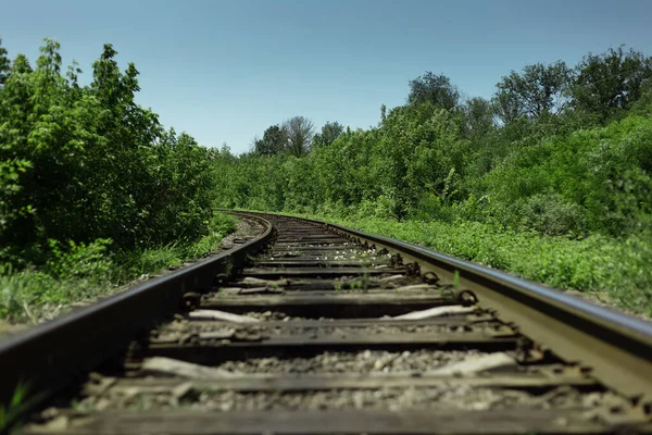 Natuurlijke Landschap Achtergrond Close Van Spoorweg Door Groen Bos Zonnige — Stockfoto