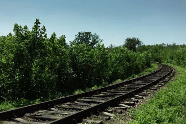 Fundo Paisagem Natural Ferrovia Através Floresta Verde Dia Ensolarado — Fotografia de Stock