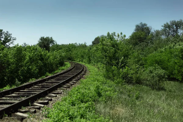 Natuurlandschap Van Spoorweg Het Bos Achtergrond Met Kopieerruimte — Stockfoto