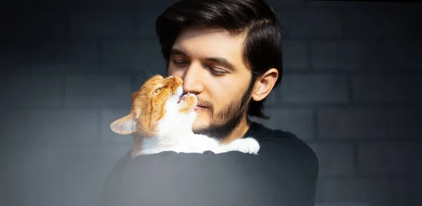 Kırmızı beyaz kedi portresi, ısıran adamın burnu. Siyah tuğla duvarın arkasında. Panoramik kesik.