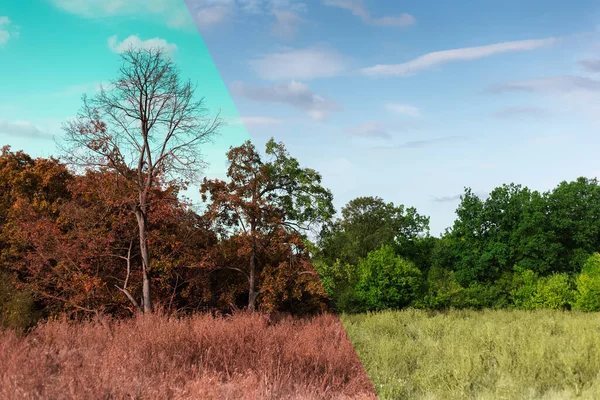 Concepto Cambio Climático Antes Después Calentamiento Global Naturaleza Marchita Verde — Foto de Stock