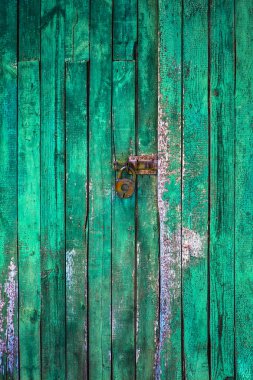 yeşil renk dar kurulları ahşap bir kalkan doku