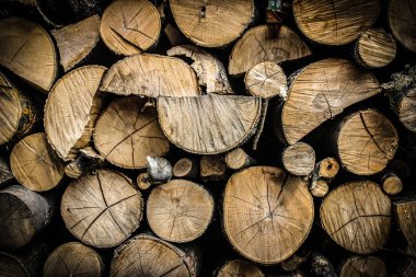 büyük duvar yığılmış ahşap doğal renk değişikliği gösteriliyor günlükleri