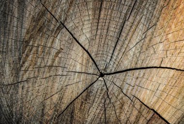eski ahşap arka plan doku sorunsuz çatlaklar