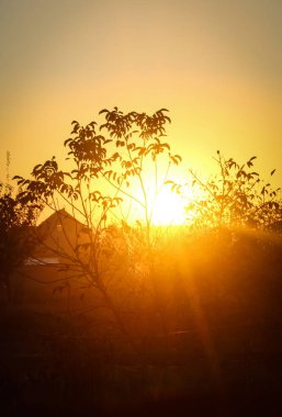 Yaz akşamları bulutlu bir alanın üzerinde parlak bir günbatımı güzel fotoğraf