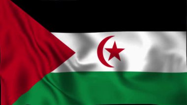 Batı Sahra bayrağı 3 boyutlu animasyonda dalgalanıyor. Ulusal gurur ve kimliği simgeleyen çarpıcı 4K döngülü görüntüler. Vatansever, kültürel veya tarihsel video içeriği ve özgeçmişi için ideal.