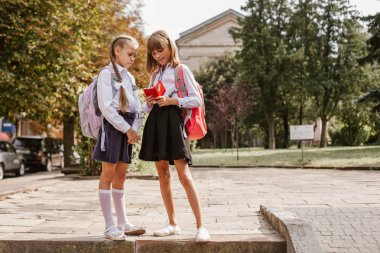 Okula geri dön. Liseli kızlar eğlenir. Okul bahçesindeki çocuklar