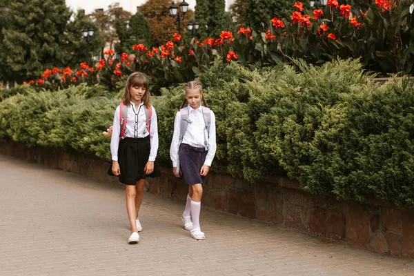 Colegialas Van Escuela — Foto de Stock