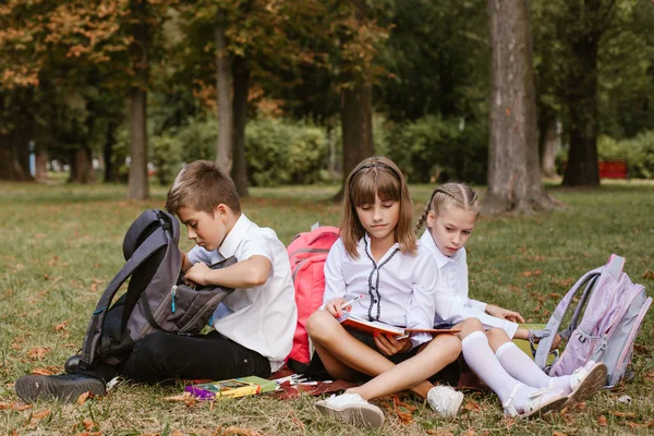 Dzieci Szkolne Wykonują Pracę Domową Przyrodzie Schoolchildren Bawić — Zdjęcie stockowe