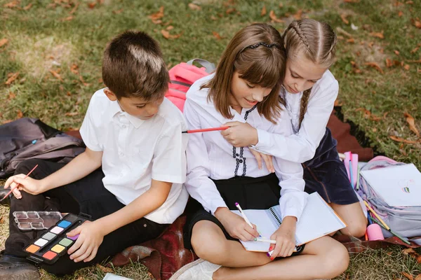 Los Niños Escuela Haciendo Tarea Naturaleza Los Niños Pequeños Divierten — Foto de Stock