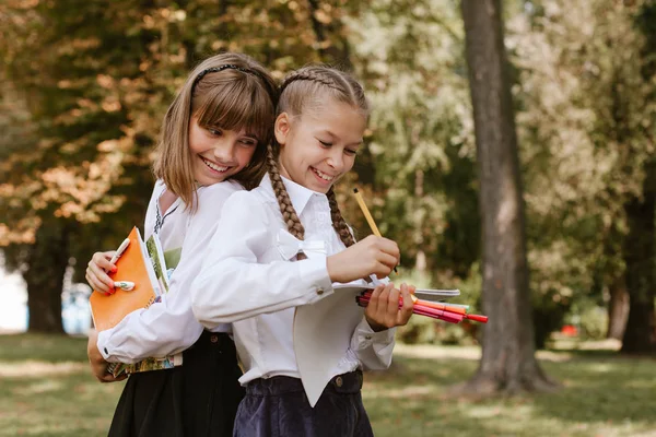 Vuelta Escuela Los Niños Escuela Haciendo Tarea Naturaleza Las Colegialas — Foto de Stock