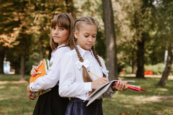 Возвращайся Школу School Children Doing Homework Nature Schoolgirls Have Fun — стоковое фото