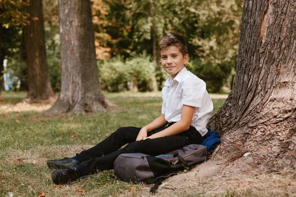 Studente Parco Sotto Albero Che Compiti Casa Scolaro Seduto Sotto — Foto Stock