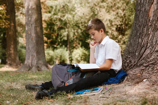 Bir Ağacın Altında Bir Parkta Ödev Yapan Bir Öğrenci Parkta — Stok fotoğraf