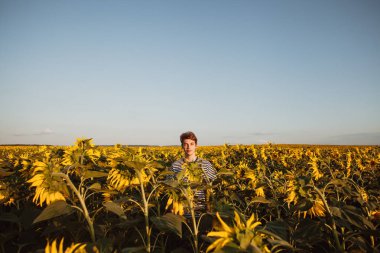 Ayçiçeği olan bir adam tarlada. Ayçiçekleri ve bir adam