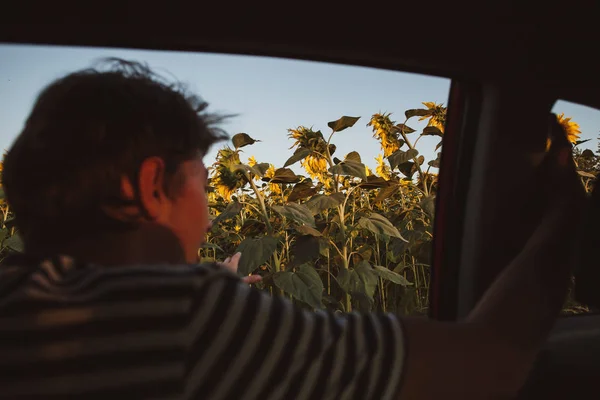 The view from the car window on the field with sunflowers.The guy looks out of the car window on the field