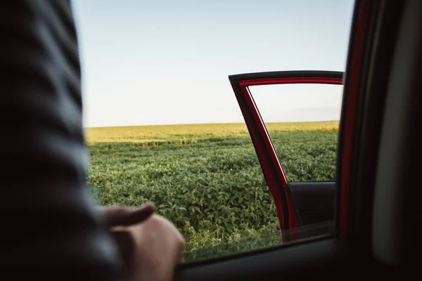 View from the car window on the field