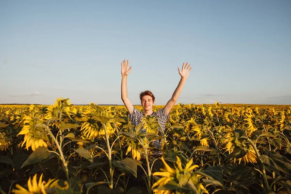 Ayçiçeği olan bir adam tarlada. Ayçiçekleri ve bir adam