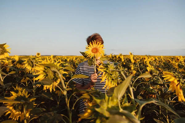 Ayçiçeği olan bir adam tarlada. Ayçiçekleri ve bir adam