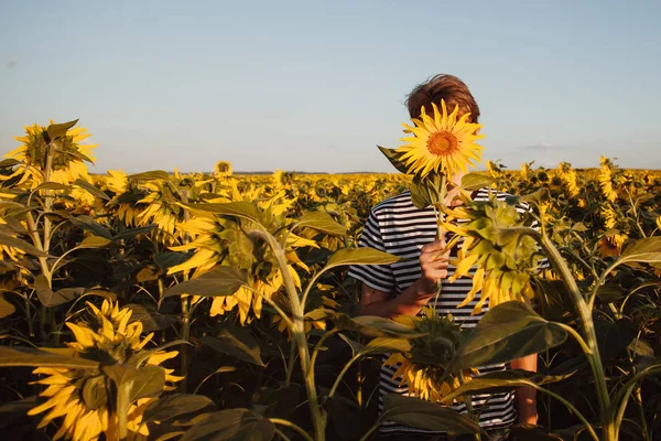 Ayçiçeği olan bir adam tarlada. Ayçiçekleri ve bir adam