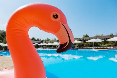 Yaz tatili bir şişme oyuncak ile havuz