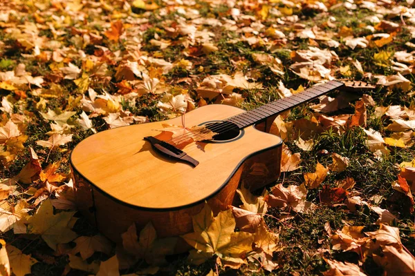 Sonbahar arka plan bir gitar ile parkta sarı yaprakları ile