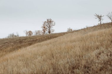 Bulutlu, noir hava sonbaharda manzaralar. Ufuk
