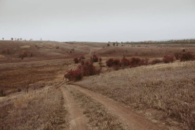 Bulutlu, noir hava sonbaharda manzaralar. Ufuk