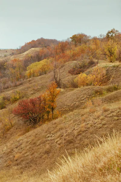 秋天的明亮和温暖的风景 田野和树木 干草和明亮的叶子 — 图库照片