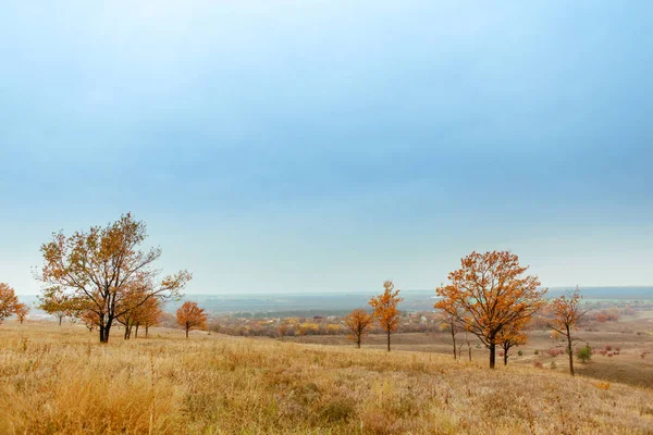 Jasne Ciepłe Krajobrazy Jesienią Wzgórza Pola Drzewa Suchej Trawy Jasnych — Zdjęcie stockowe