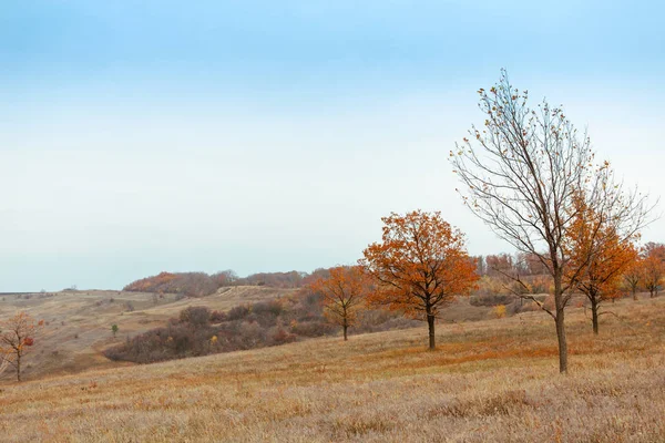 Φωτεινό Και Ζεστό Τοπία Φθινόπωρο Λόφους Πεδία Και Δέντρα Ξερά — Φωτογραφία Αρχείου