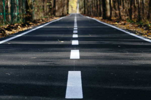 Vackra Släta Och Asfalt Road Med Markeringar Skogen — Stockfoto