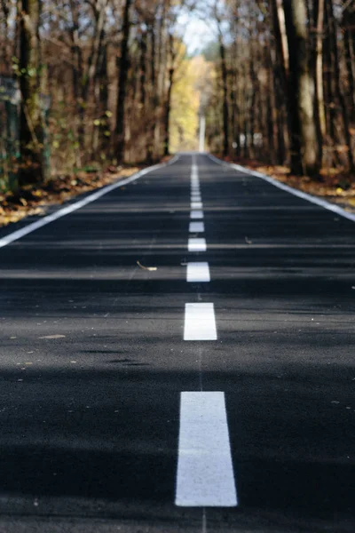Beautiful Smooth Asphalt Road Markings Forest — Stock Photo, Image