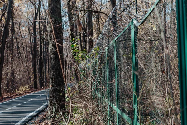 Fenced Guarded Private Area Forest Video Surveillance Barbed Wire — Stock Photo, Image