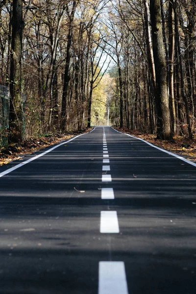 Beautiful Smooth Asphalt Road Markings Forest — Stock Photo, Image