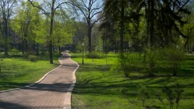 Şehir Parkhighway Rating araçlar binalarda yolda hareketli kamera. Araba yolda hareket. Güneşli bahar günü mavi gökyüzü. Rekreasyon alanı. Kiev Ukrayna Nisan