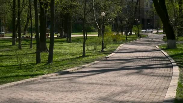 Câmera Movendo Caminho Parque Cidadeedifícios Veículos Tráfego Rodoviário Carros Movimento — Vídeo de Stock