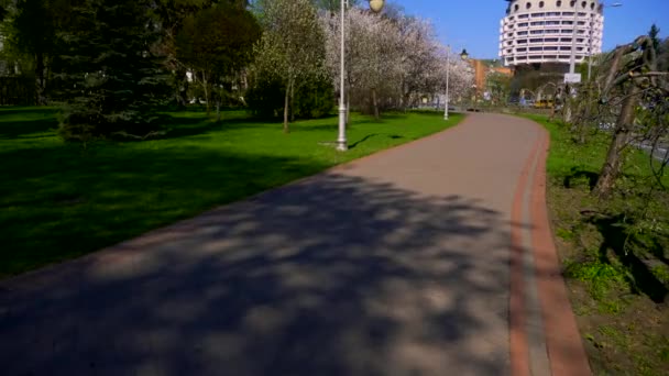 Kamera Bewegt Sich Auf Pfad Stadtparkstraße Fahrzeuge Gebäude Autos Die — Stockvideo