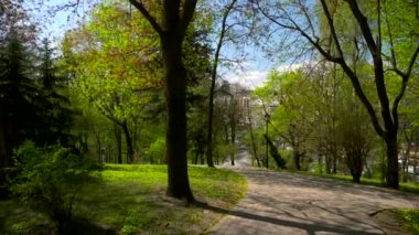 Şehir Parkı. Yeşil kentsel alan. Ağaçlar çim bitkileri. Güneşli bir gün mavi gökyüzü. Bahar zamanı