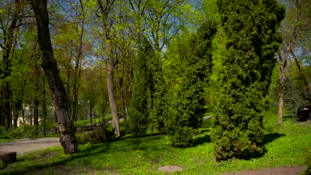 Stadtpark Urbaner Grünraum Bäume Graspflanzen Sonniger Tag Blauer Himmel Frühlingszeit — Stockvideo